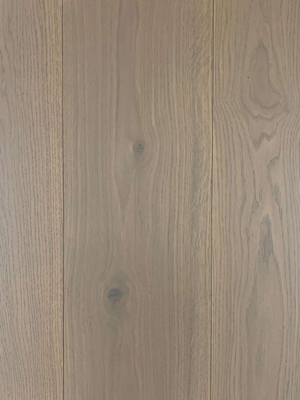 Jesolo from Veneto Collection Jesolo from Veneto Collection