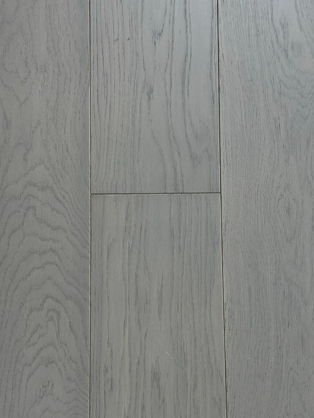 Modena from Veneto Collection Modena from Veneto Collection