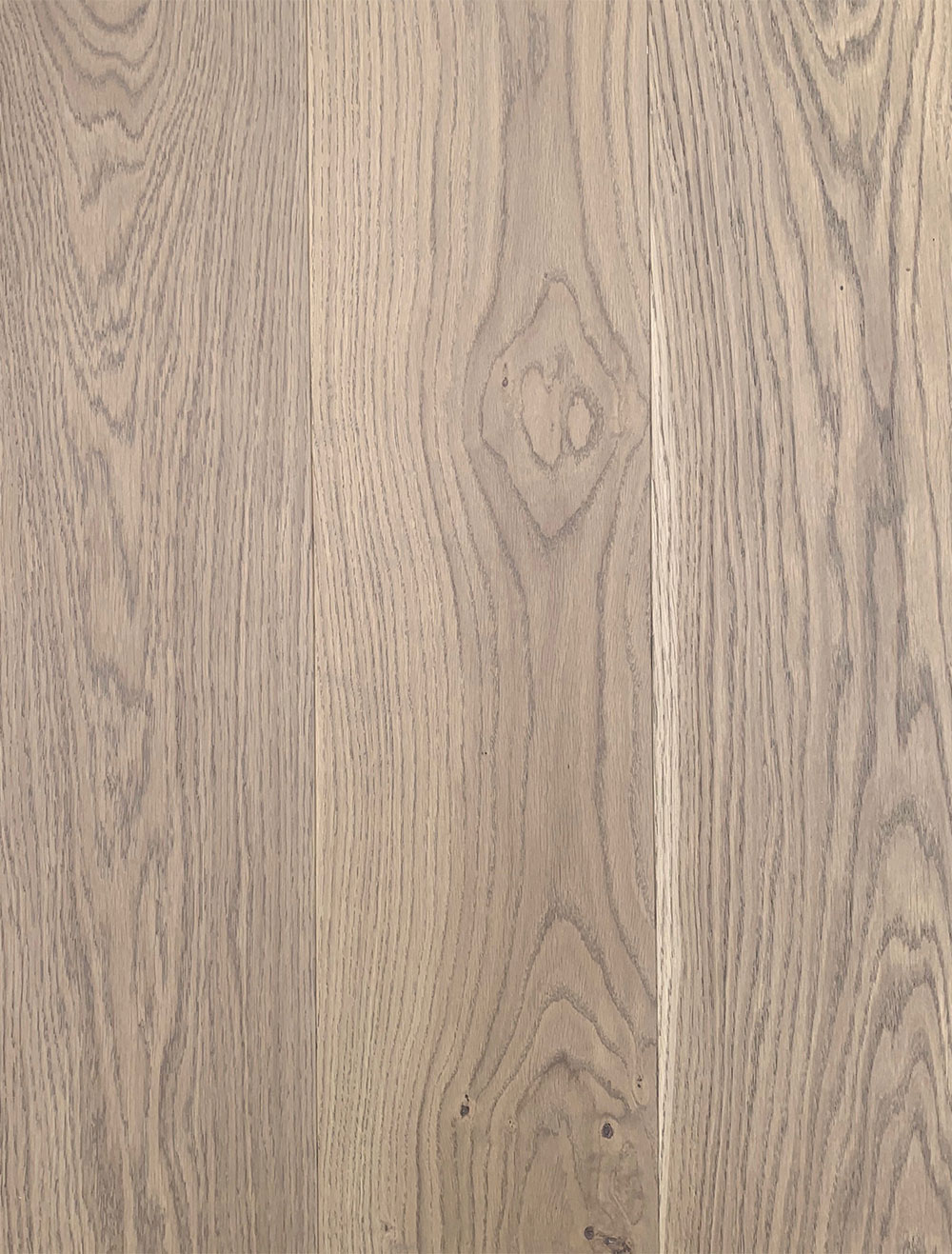 Montebelluna from Veneto Collection Montebelluna from Veneto Collection