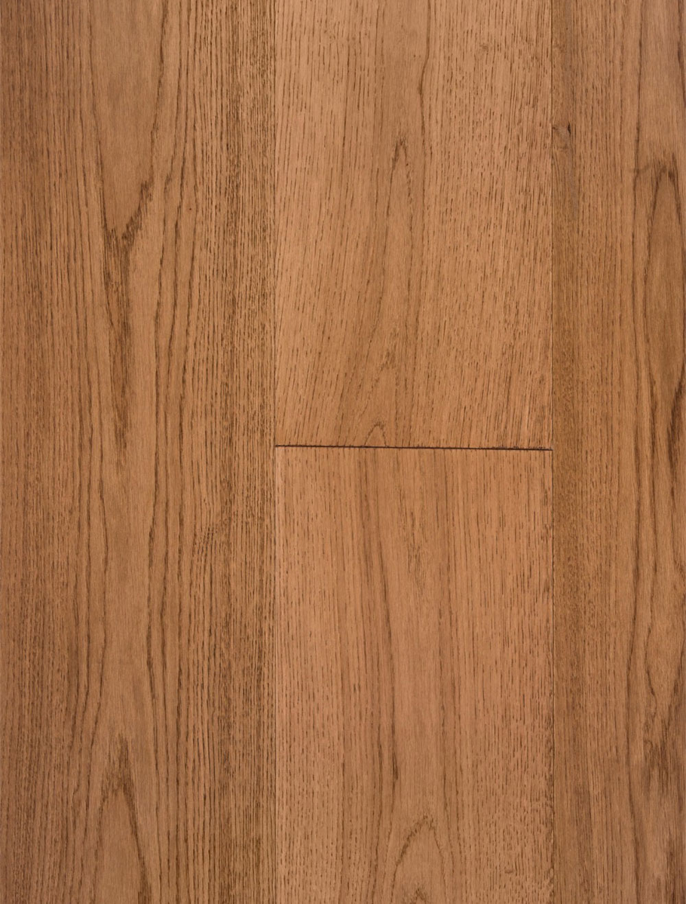 Pavia from Veneto Collection Pavia from Veneto Collection