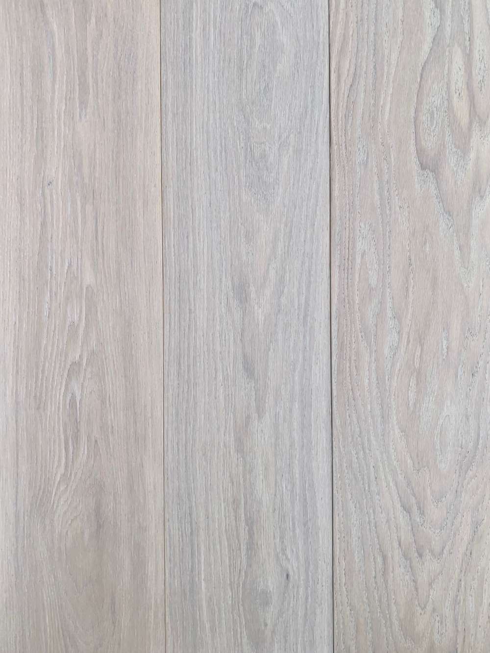 Roman from Veneto Collection Roman from Veneto Collection