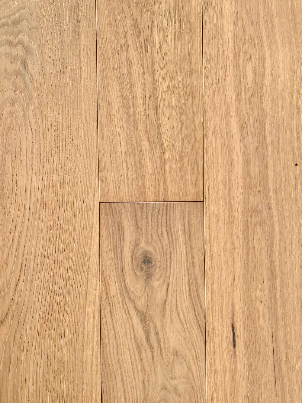 Vicenza from Veneto Collection Vicenza from Veneto Collection